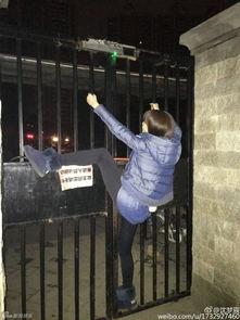 在线观看铁门 第2张 在线观看铁门 第2张